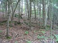 Old Hill Village - South End 275